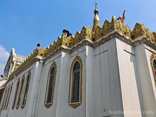 生活随拍丨洛阳白马寺