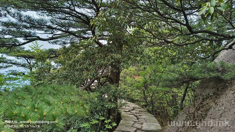 2023年5月13日黄山二日游纪念