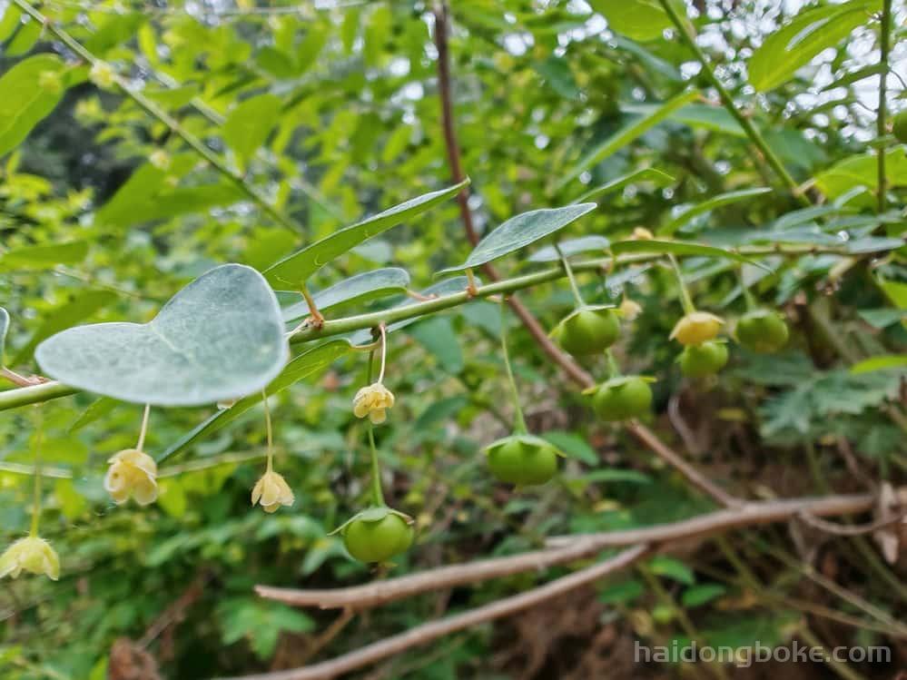 生活随拍丨河南嵩山少林寺