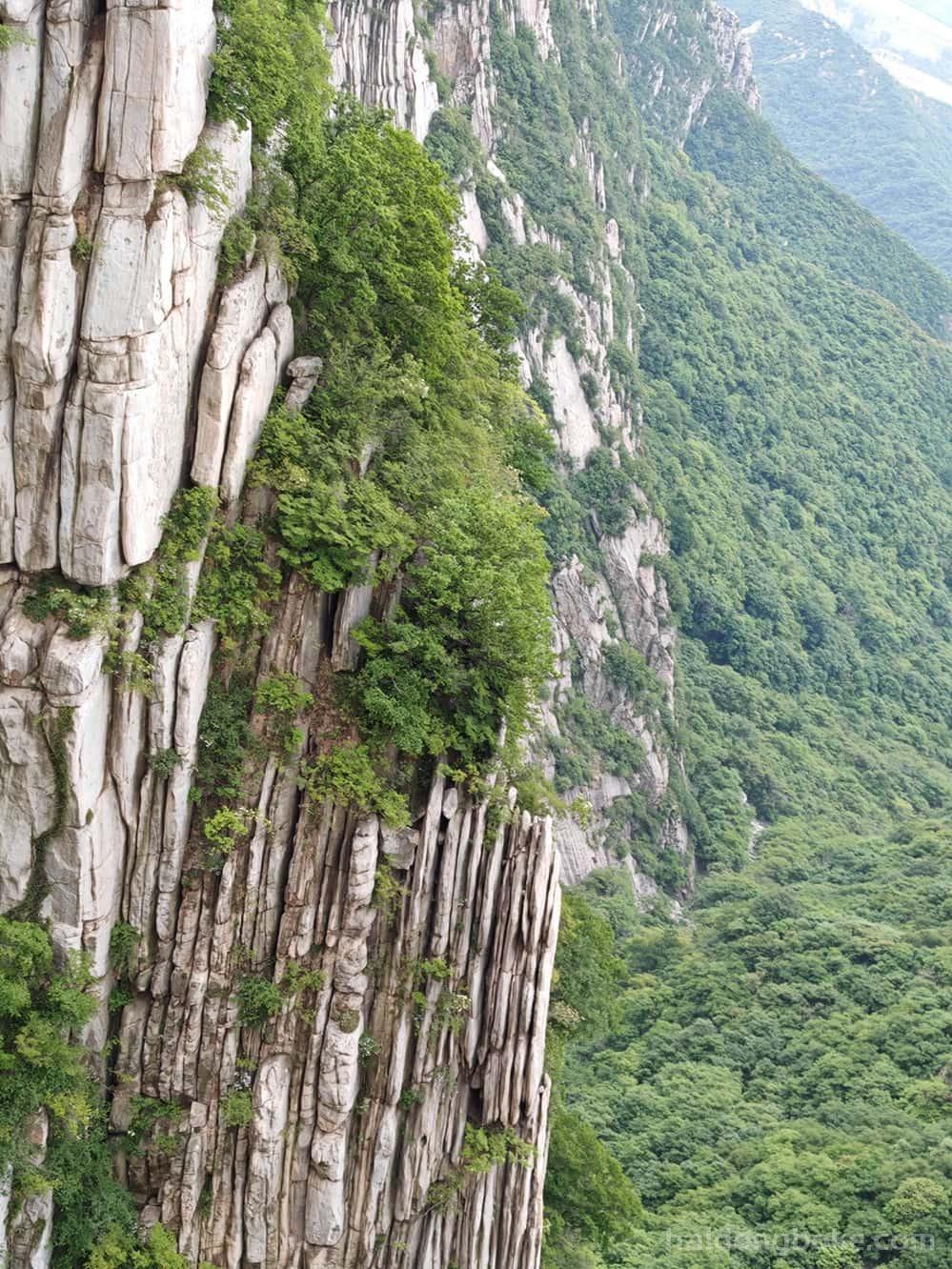 生活随拍丨河南嵩山少林寺