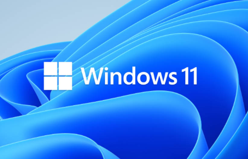 Windows 11 (business editions), version 23H2 (updated June 2024) (x64) - DVD (Chinese-Simplified)